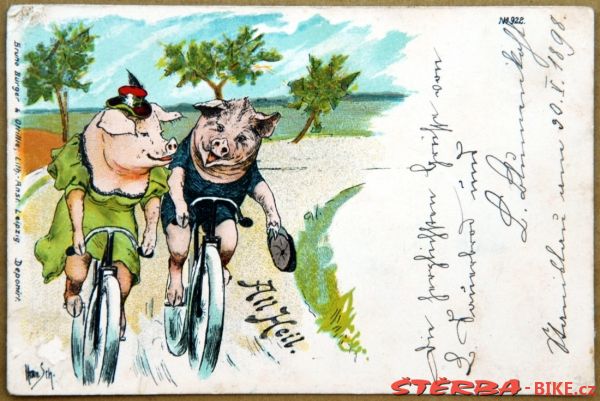 Postcards - ANIMALS AND PETS