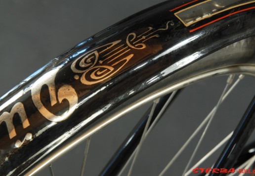 Men's touring bicycle, Durkopp - Diana