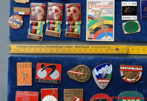 Approx. 65 participant pins