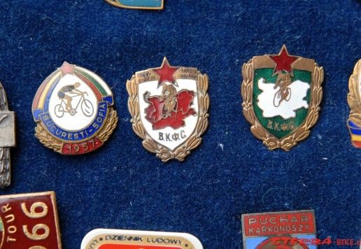 Approx. 65 participant pins