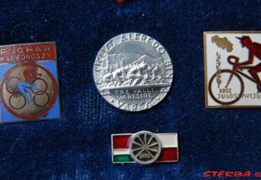 Approx. 65 participant pins