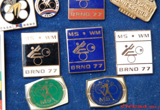 Approx. 65 participant pins