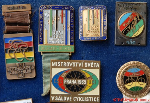 Approx. 65 participant pins