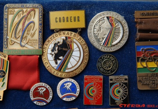Approx. 65 participant pins