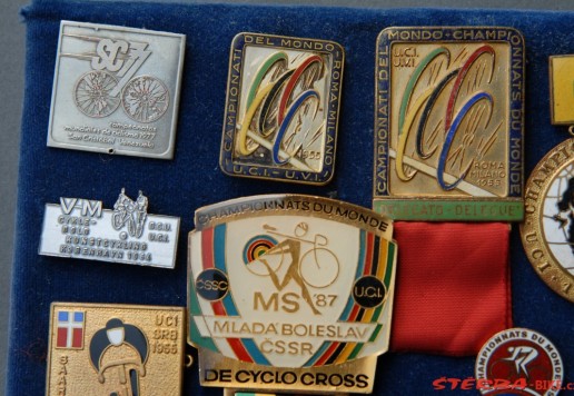 Approx. 65 participant pins