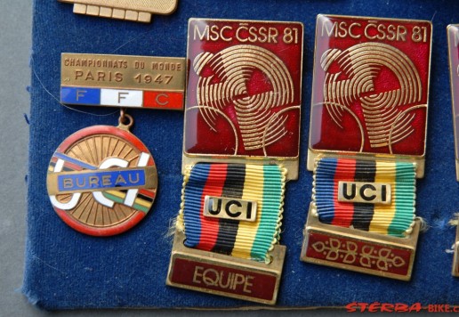 Approx. 65 participant pins