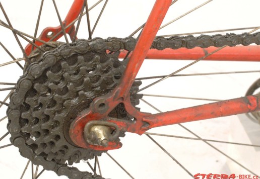 Camille Dardenne racing bike 19??