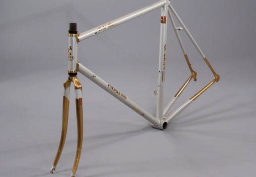 ŠTĚRBA - Gold frame