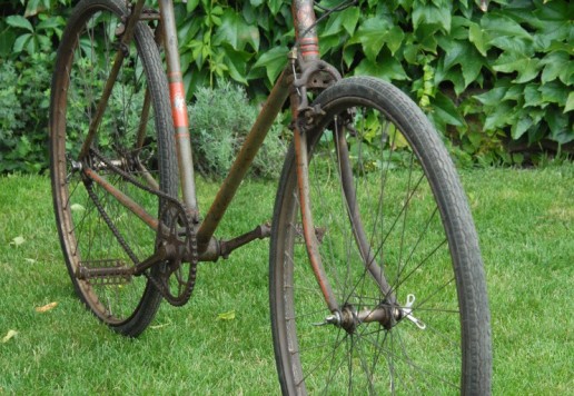HYRAVIT France - asi 1920