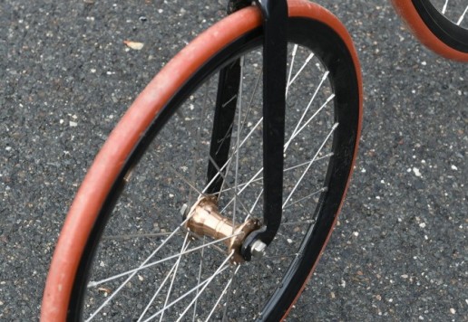 High Wheel Měsíček 50" - including EXPO stand