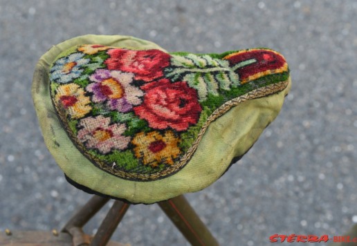Vedette, lady bike 1901, USA