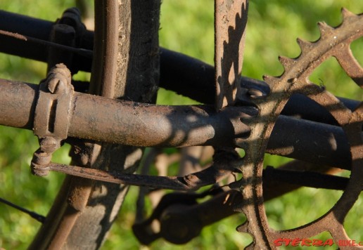 Terrot -  Men's touring bicycle