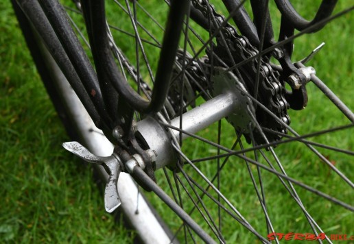 Elite sport randonneur  