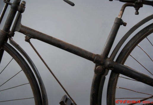 Peugeot - bezpečník (X tvar rámu), 1890