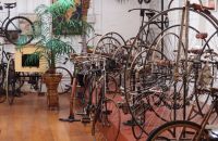 Farren Bicycle Collection