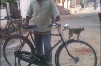 Bicycles in India