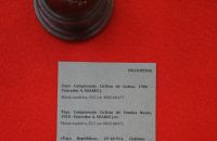 102 - Museum "Desporto" Lisbon