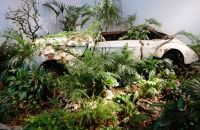 111/A - Museo Automovilistico de Málaga