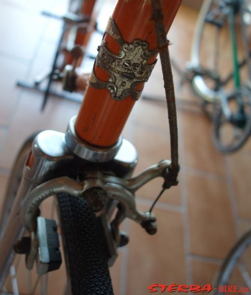117 – BATTAGLIA  2013