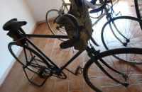 117 – BATTAGLIA  2013
