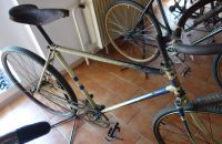 117 – BATTAGLIA  2013