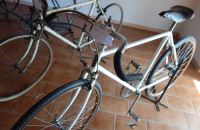 117 – BATTAGLIA  2013