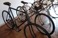 117 – BATTAGLIA  2013