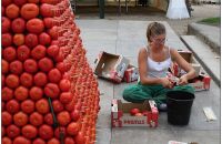 119/D – Marmande 2013