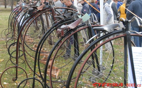 Kohout Bycicle exhibition 2010