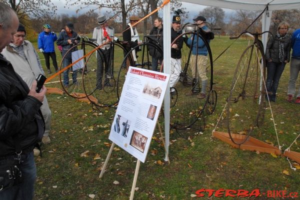 Kohout Bycicle exhibition 2010