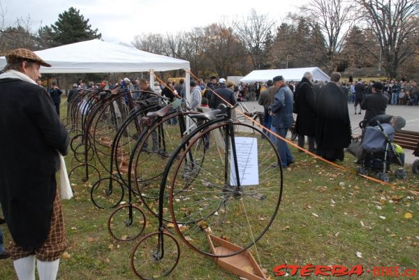 Kohout Bycicle exhibition 2010