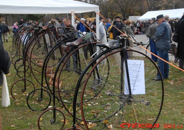 Kohout Bycicle exhibition 2010
