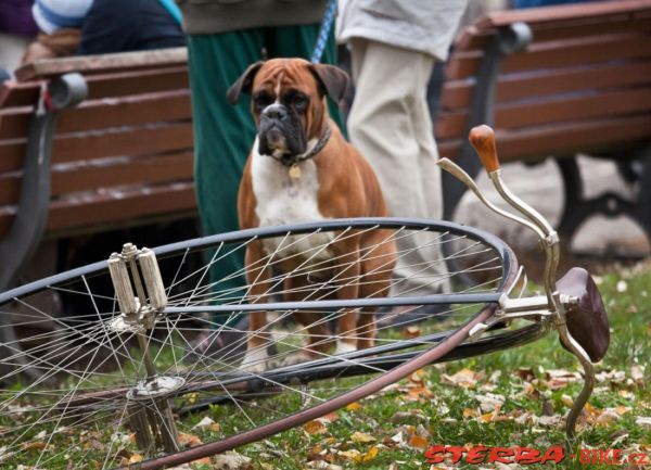 Prague Mile 2011