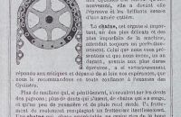 Terrot 1896
