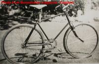 Simpson Lever Chain 4