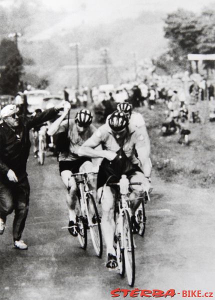 Závod Míru - Peace Race