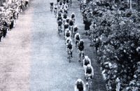 Závod Míru - Peace Race