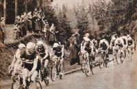 Závod Míru - Peace Race
