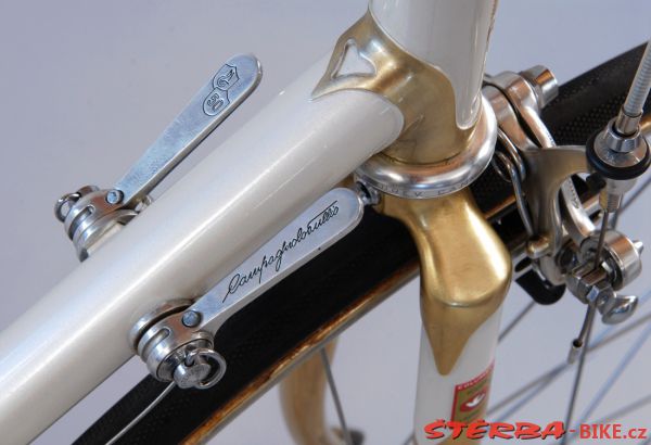 Závodní speciál Štěrba Gold - Campagnolo 50th Anniversary 1983