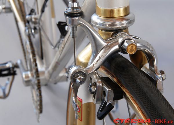 Závodní speciál Štěrba Gold - Campagnolo 50th Anniversary 1983