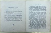 Laurin & Klement 1899 – První motorové kolo