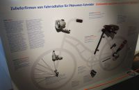 137/A  "Phänomen" – Phenomenal!