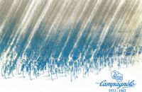 Campagnolo 50th (A)