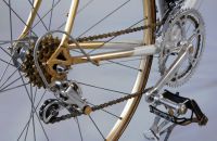 Závodní speciál Štěrba Gold - Campagnolo 50th Anniversary 1983