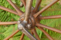 Foto Michaux - 1D