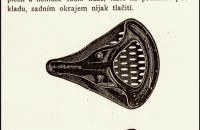 Český klub velocipedistů 1880