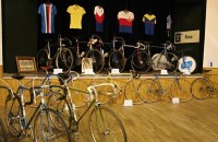 Exhibitions