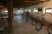 Exhibitions