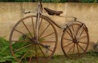 Foto Michaux - 1D