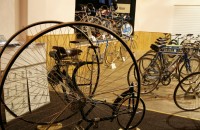 Exhibitions